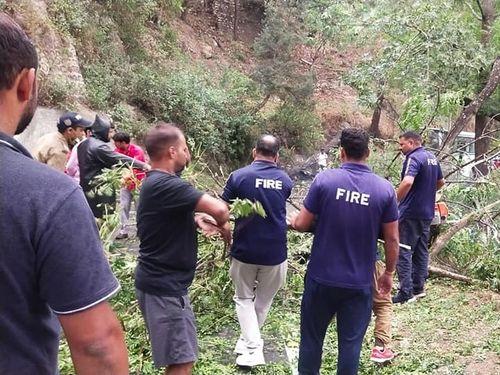 Traffic was disrupted due to falling trees, Fire Service Gopeshwar smoothed the traffic