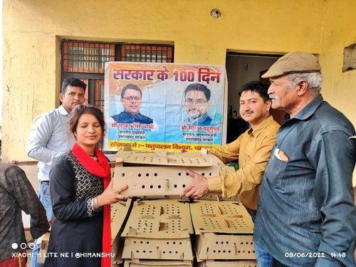 Distribution of 50 units a day of chicks under the Backyard Poultry Farming Scheme