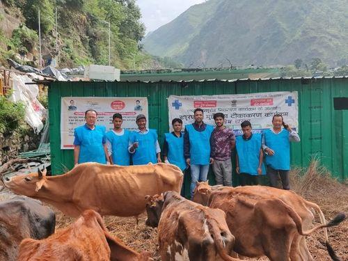 Vaccination of hoof and mouth was done in 60 bovine animals