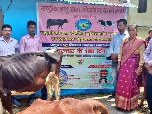 FMD vaccination campaign launched in district Bageshwar