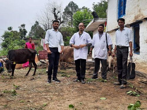 vaccinated on animals to prevent disease