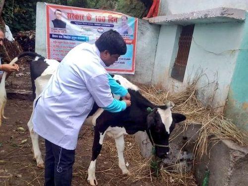Vaccination done in village Talla Okhalkanda