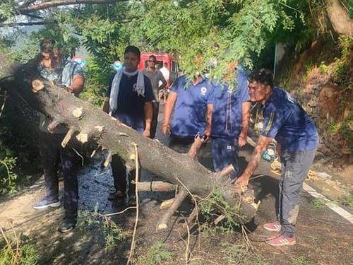 Fire Service Gopeshwar personnel smoothed the traffic that was disrupted by falling trees.