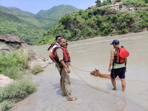 Uttarakhand police rescued a cow trapped on the banks of the lake