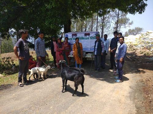 Veterinary and vaccination camp organized in village Jethai