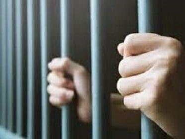 Police team arrested 01 accused with 14 bottles of illegal English liquor by Thana Kapkot police.