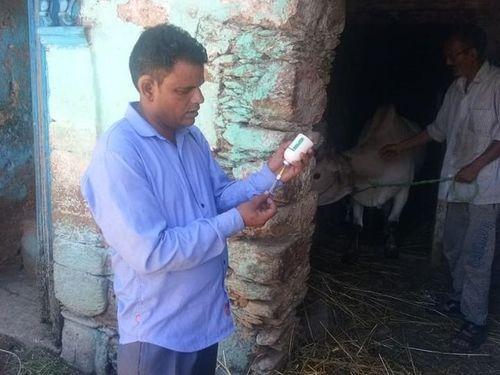 FMD vaccination work done in Ghansali block and Kepars village