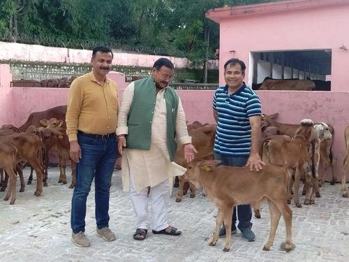 Inspection of Kalsi Farm, Dehradun by Vice Chairman of Gau Seva Aayog