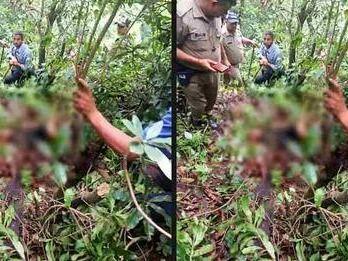 A five-year-old child was taken away, half-eaten dead body was found
