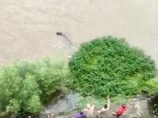 Uttarakhand Police rescued the cow trapped in the swamp