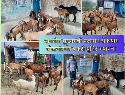 1 unit goat per beneficiary is distributed for self-employment and livelihood enhancement