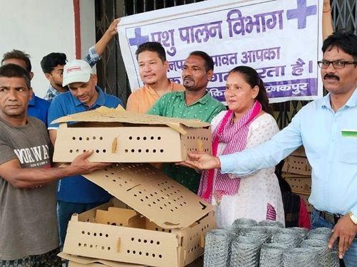 Distribution of chicken chicks to 112 beneficiaries