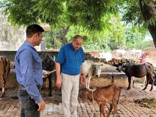 Necessary instructions were given by the Director Animal Husbandry Department for the treatment and prevention of lumpy skin disease.