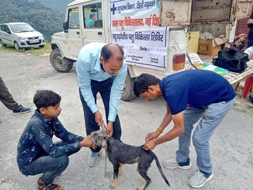 Veterinary camp organized in village Ringoli of Block-Kirtinagar