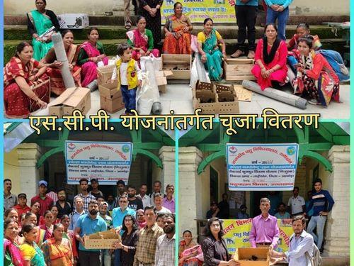 One day poultry chicks were distributed to 70 beneficiaries of scheduled castes