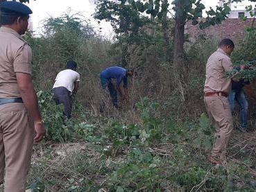 Uttarakhand police destroyed the cultivation of cannabis growing in secluded places