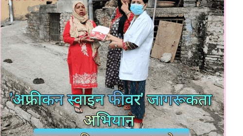 African Swine Fever public awareness campaign by veterinarians