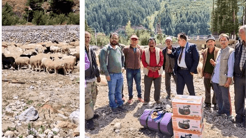 Chief Veterinary Officer participated in Sheep Shearing Program