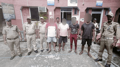 04 accused arrested with 42 kg of pork