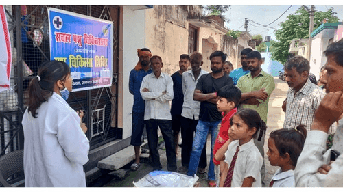 पशुचिकित्सकों द्वारा एलएसडी ग्रसित पशुओं की जांच हेतु सैम्पल लिए गए