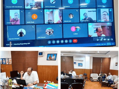 Online meeting organized to review the status of lumpy skin disease