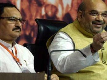 Leaders of many states will seek votes for BJP candidates