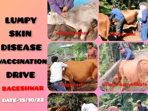 Vaccination of cow pox done by veterinarians