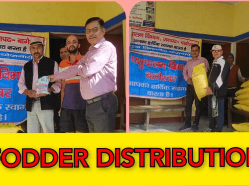 Distribution of fodder seeds by Government Veterinary Hospital Kapkot