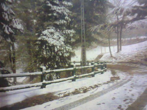Due to snowfall, Bageshwar Police Station appealed for road safety