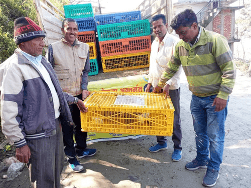 One month chicks were distributed to promote self-employment