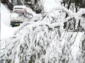 Meteorological Department again issued a rain and snowfall alert