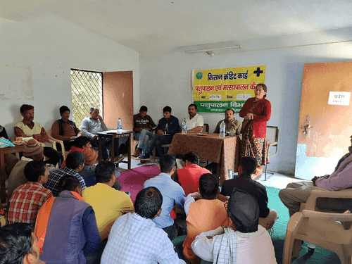 KCC camp organized for cattle rearers