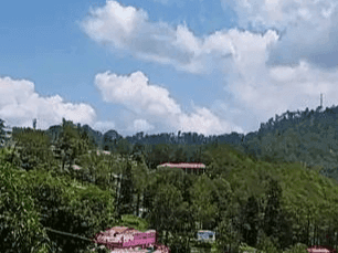 Meteorological Department issued forecast