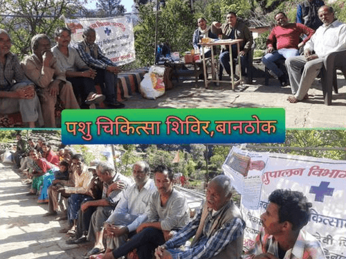 Veterinary camp was organized in village-Guar