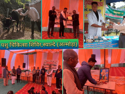 Multipurpose veterinary camp was organized in village- Nel
