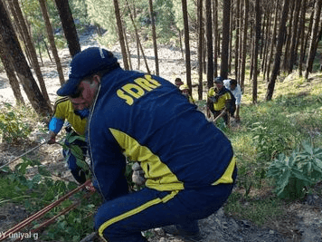 Alto car fell into the ditch, five people died