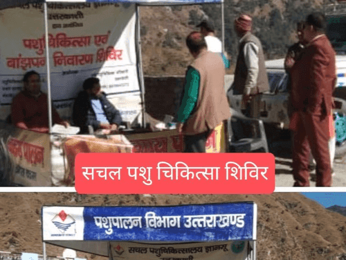 Mobile veterinary camp was organized in village Tinya and Kafnol