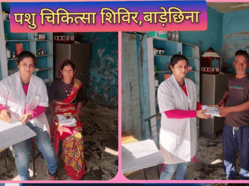 Veterinary Camp was organized in village dasho