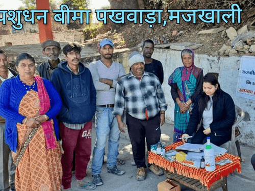 Livestock insurance fortnight camp was organized in village Dida