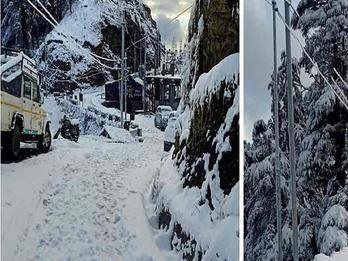 Meteorological Department issued yellow alert of cold wave from today