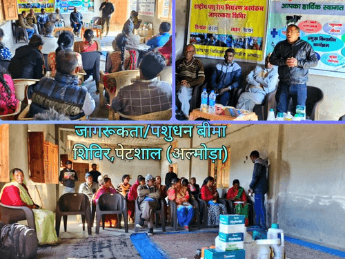 Livestock insurance camp was organized in village-Petshal