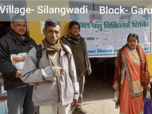 Mobile veterinary camp was organized in village Silangwadi