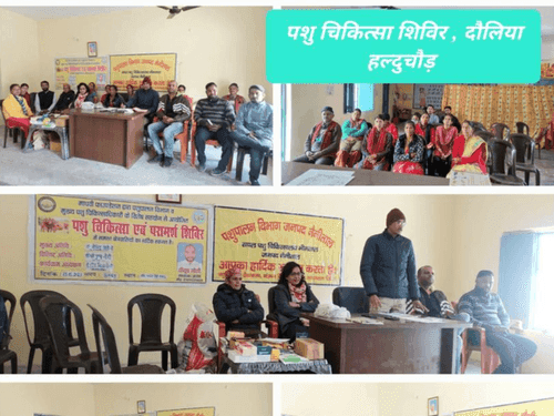 Veterinary camp organized by Mobile Veterinary Hospital, Bhimtal