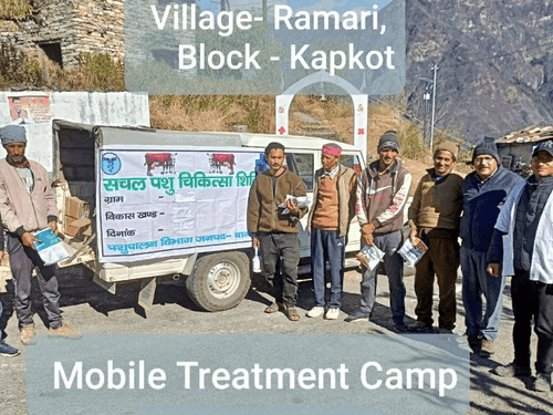 Mobile veterinary camp was organized in village Ramari