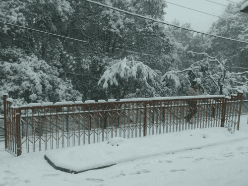 Meteorological Department issued forecast regarding rain and snowfall