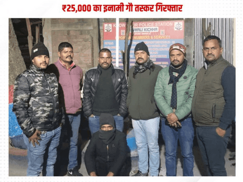 Wanted accused arrested in cow smuggling