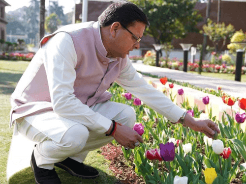 Chief Minister Shri Dhami inspected Tulip Garden