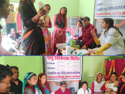 Dugdh Marg/Committee veterinary camp was organized in village Dasho