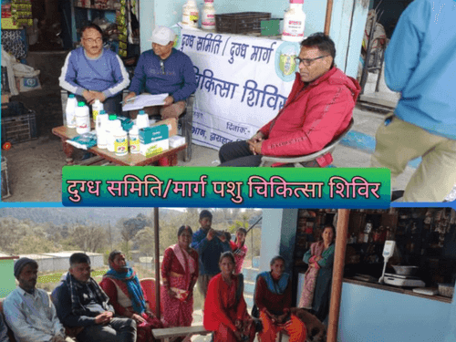 Veterinary camp was organized in Chhatgulla village