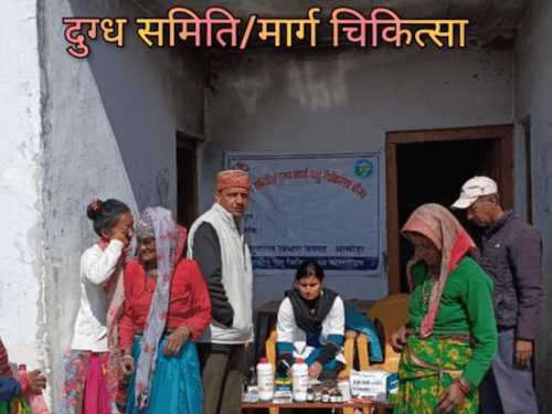 Veterinary camp was organized in village Talla Gairad